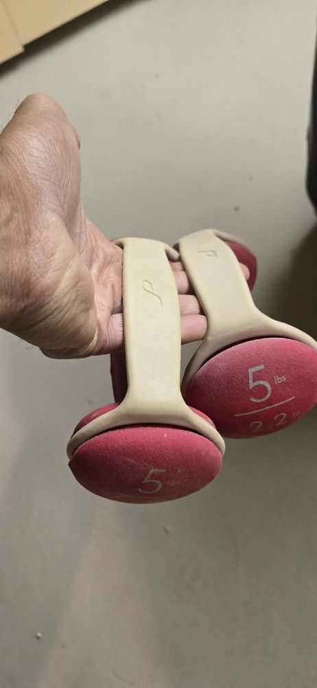 5lb Dumbbells