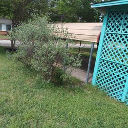 20 X 30 Two Car Carport  650