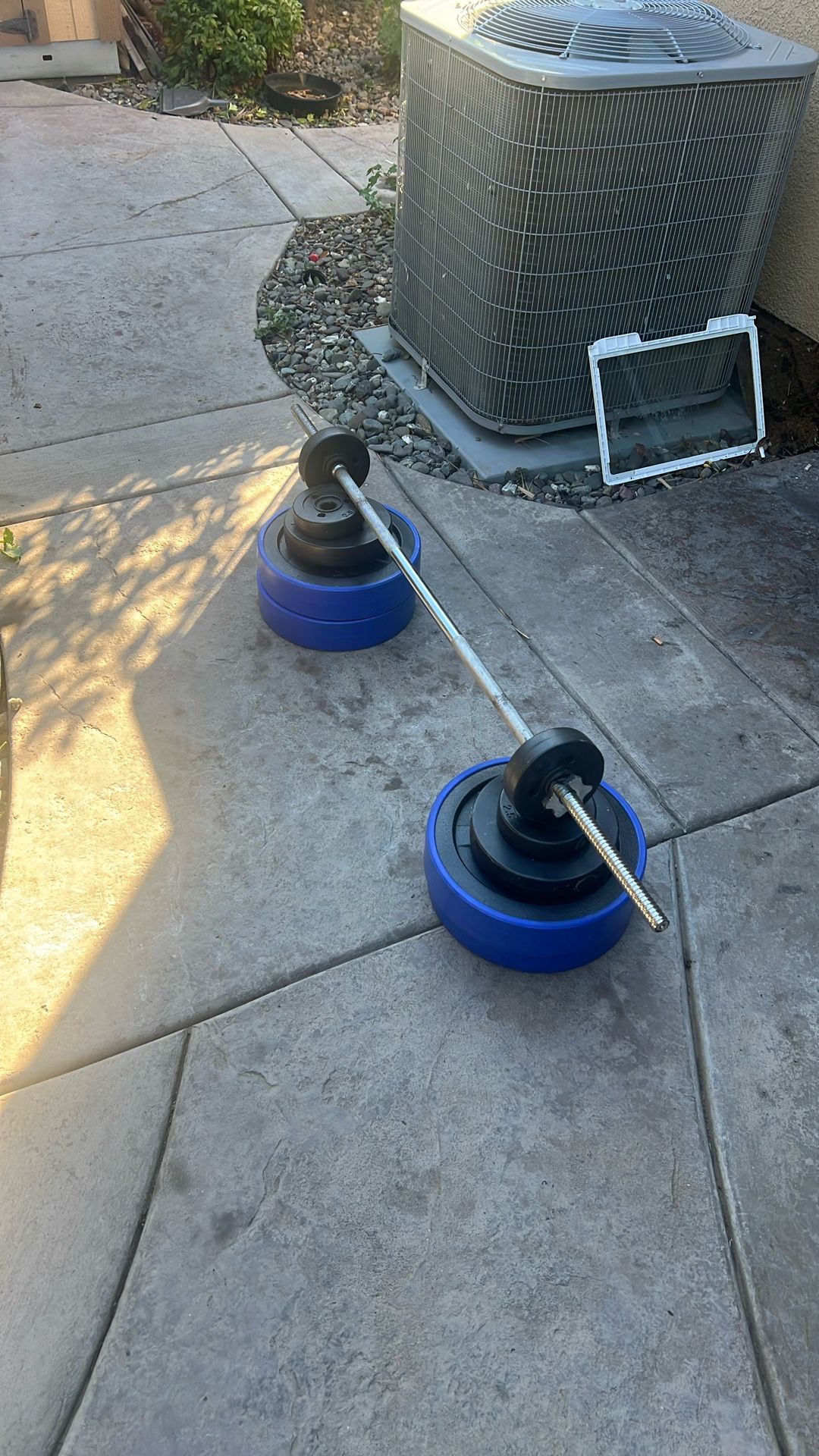 Barbell(standard Sz) With Weights 