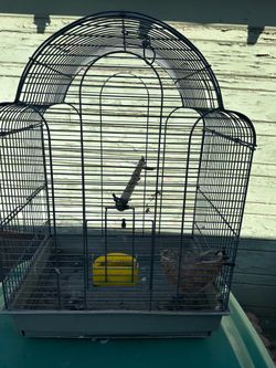 Cage