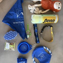 Free Box Of Dog Toys And Accessories 