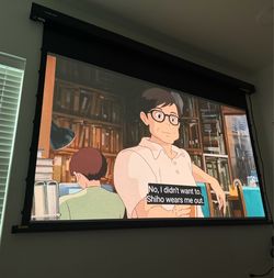100” Motorized Projector Screen
