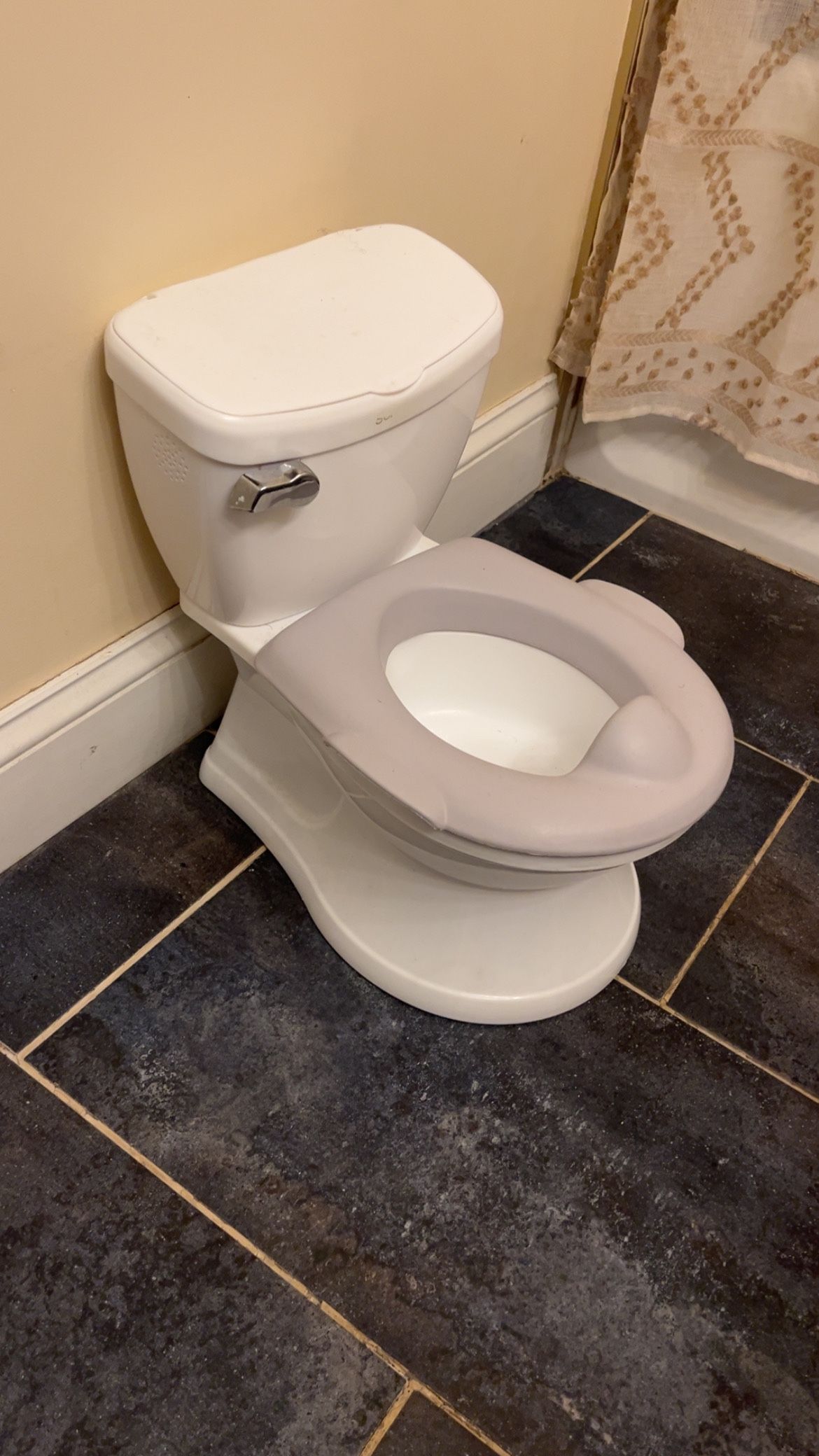 Potty