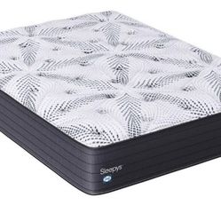Sleepys by Sealy Plush Queen Mattress