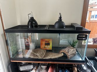 40 Gallon tank and supplies for Reptile/Bearded Dragon