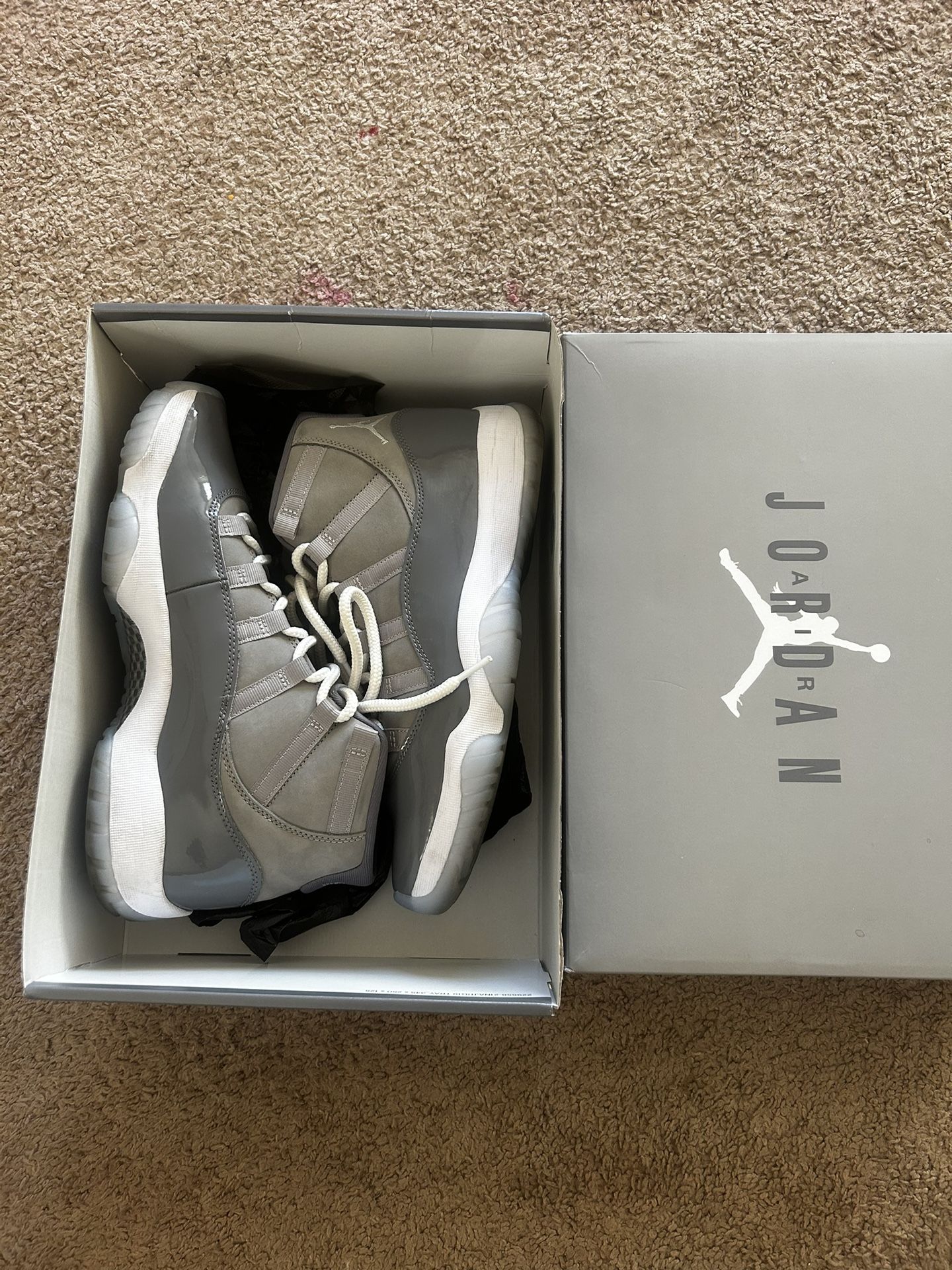 Jordan Cool Grey 11s 2021 Release (M 10)