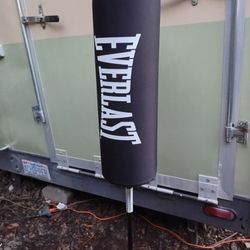 Brand New Boxing Bag, Gloves Have Sold. 