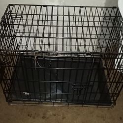 Kennel