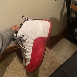 Jordan 12 