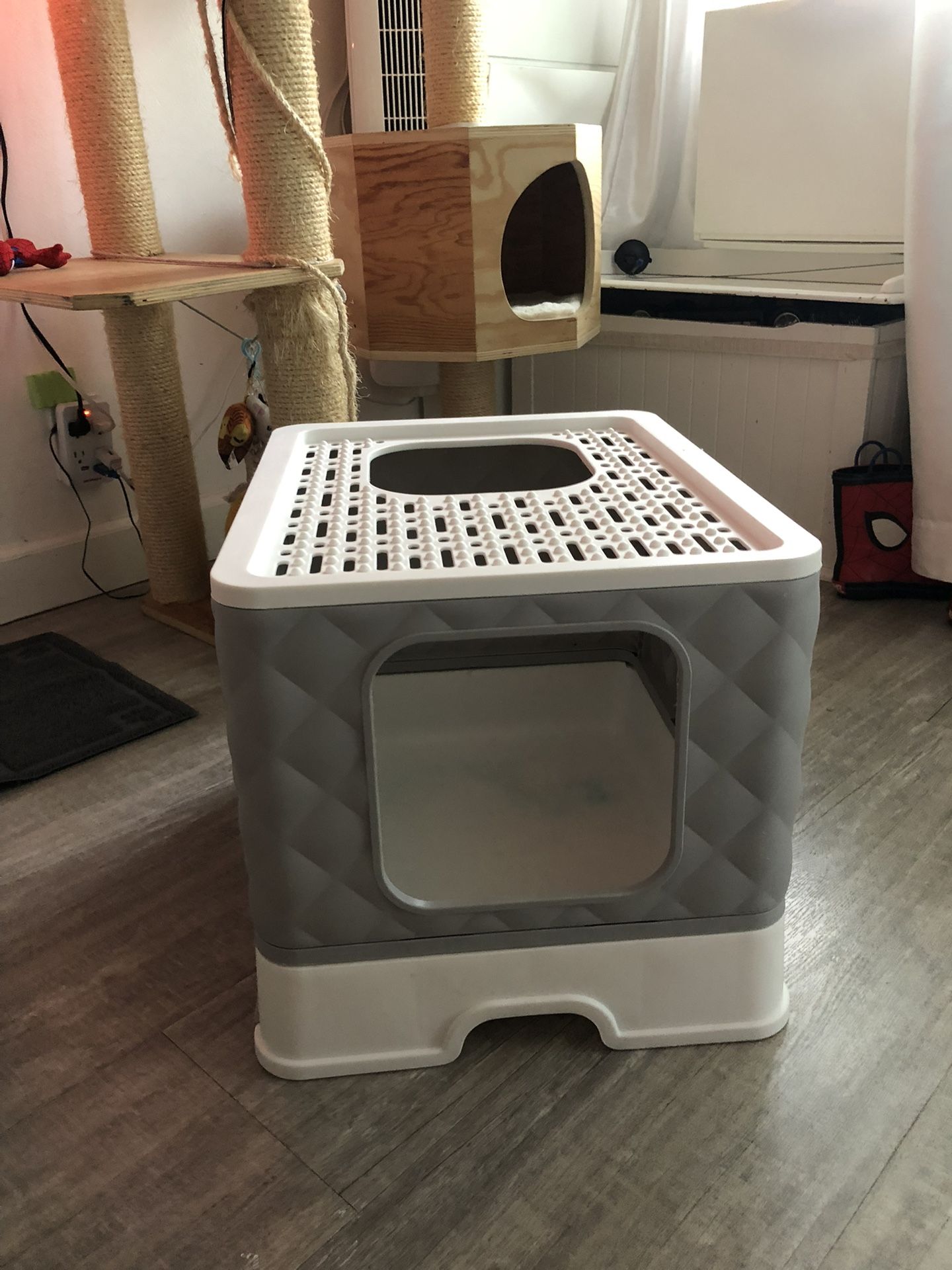 Cats Litter Box 