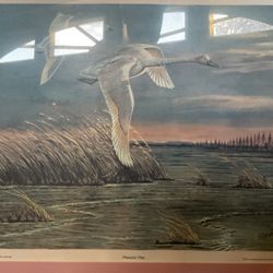 Eval Kneival Print  Peaceful FliteSigned And Dated  3 Of 3000/ 1979 Excellent Condition