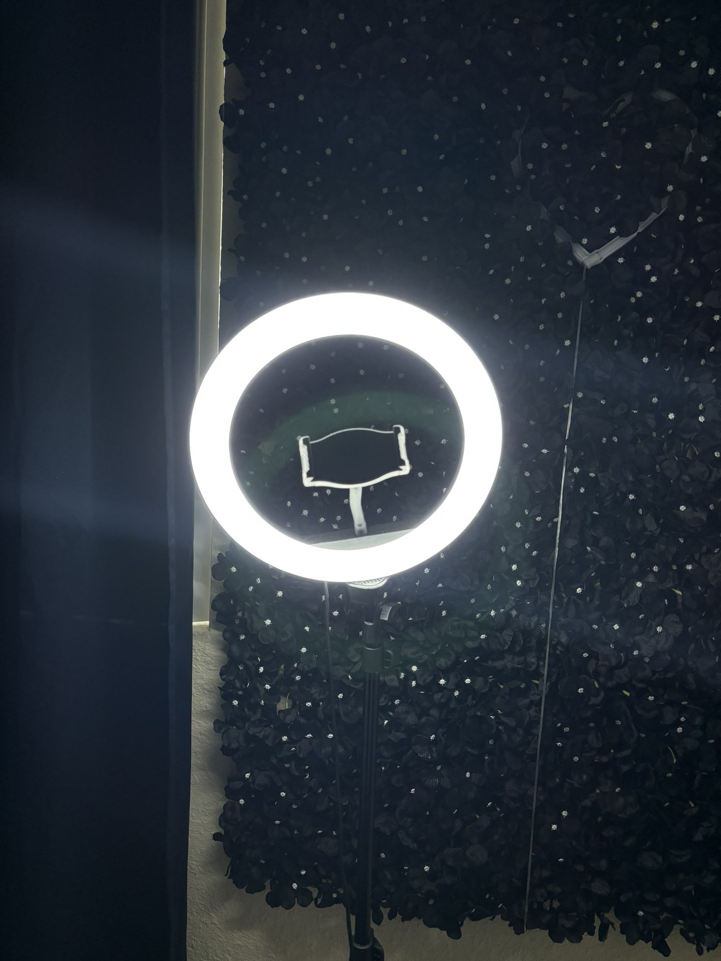 10 inch ring light for sale