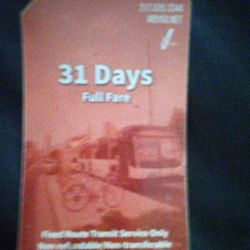 31 All Day Bus Pass 
