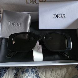 Womens Dior Shades Wildior S2U