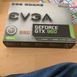 EVGA 960 2gb Vram