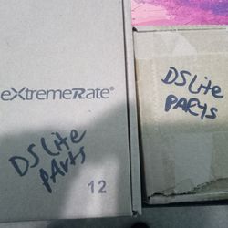 DS lite parts