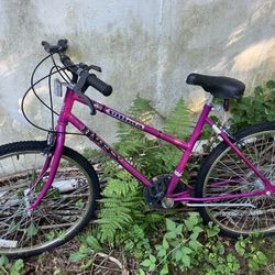 Huffy Ultima Purple Vintage Bicycle 22”