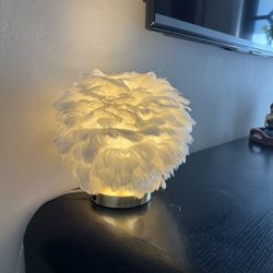 White Feather Lamp