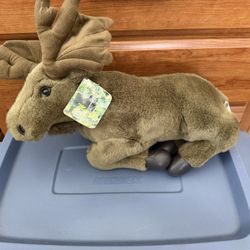 Moose, Plush Toy