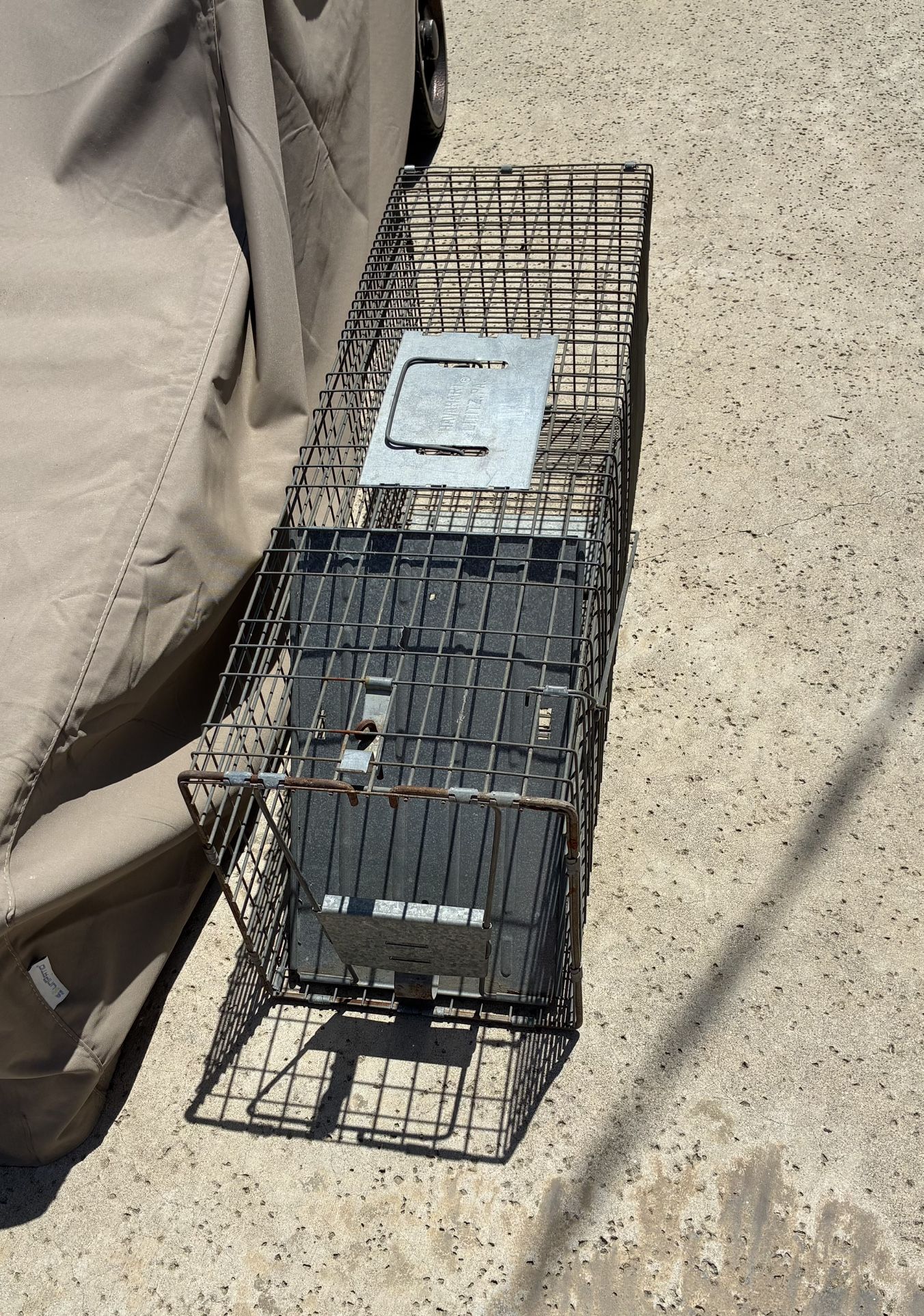 Animal Trap Cage