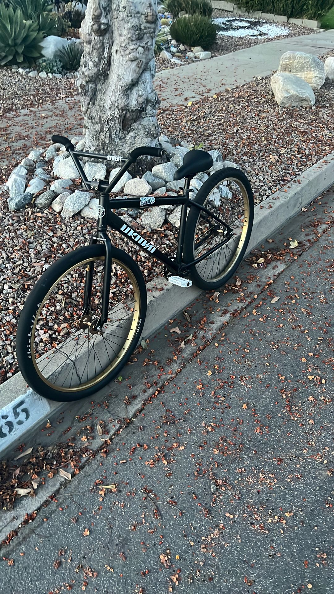 Unknown 29er (trades Only)