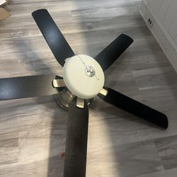 Ceiling Fan 