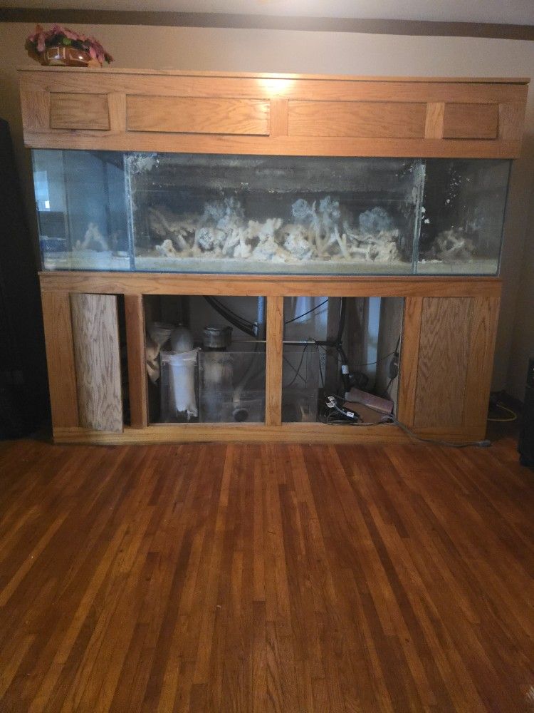 Aquarium 300 Gallon