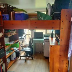 Solid Wood Twin Loft Bed