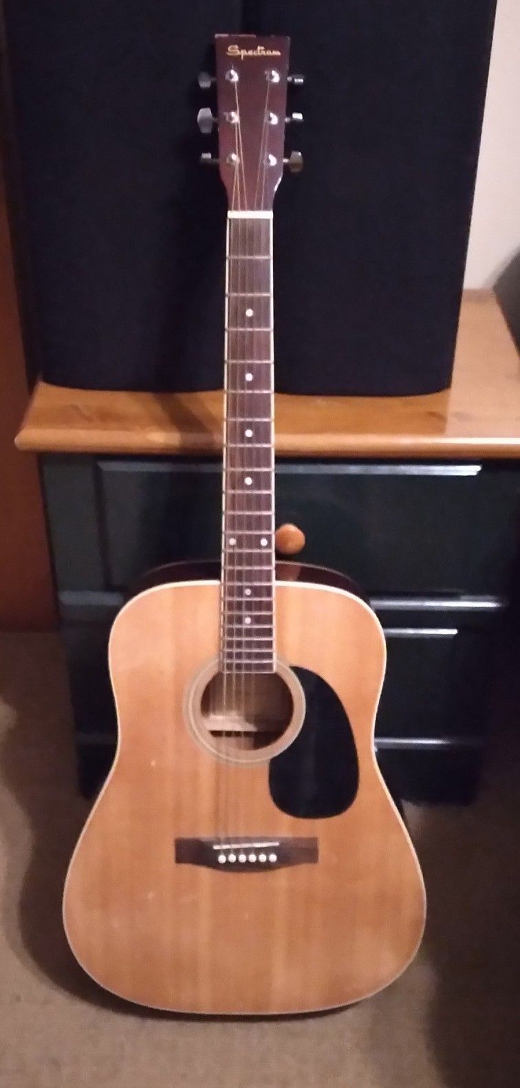Spectrum Acoustic Guitar