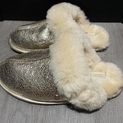 Ugg Slippers 