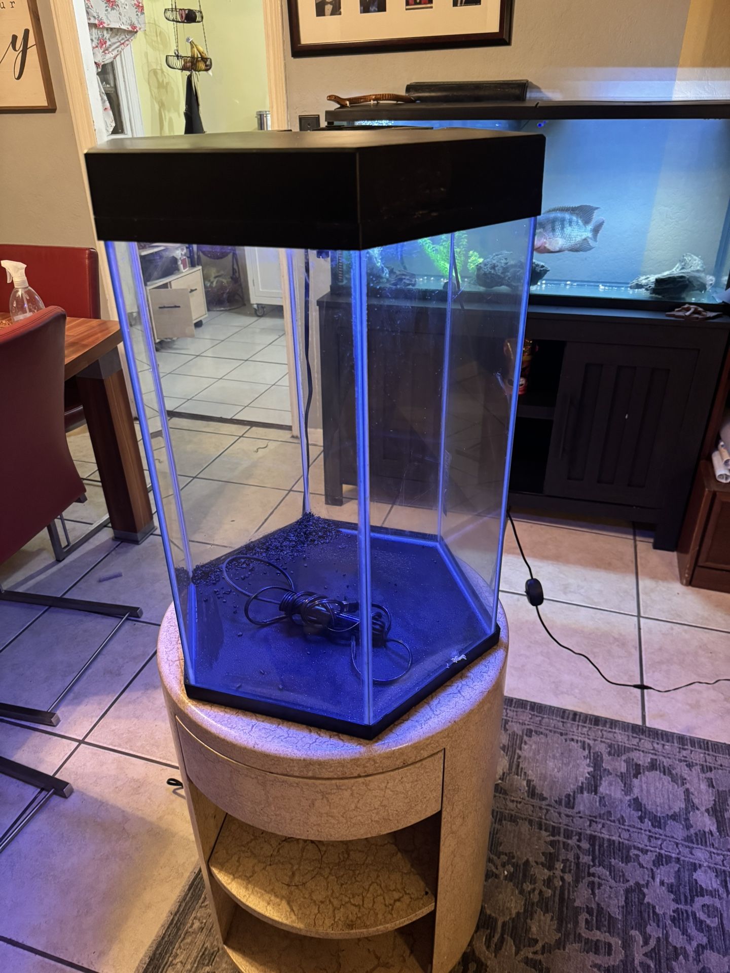 25 Gallon Fish Tank