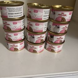 Cat food  12 can  for  $15