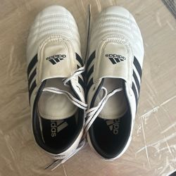 Adidas Indoor/outdoor Shoes 