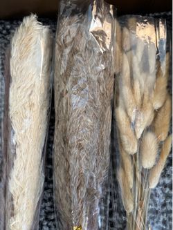 Plumes  flowers decor