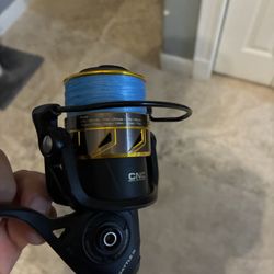 Penn Battle 3 (4000) With Brand New Braid