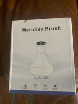 Meridian Brush Electric Massager