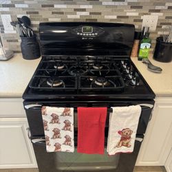 Maytag Gemini Stove