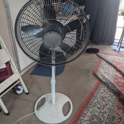 3 Speed Oscillating Standing Fan