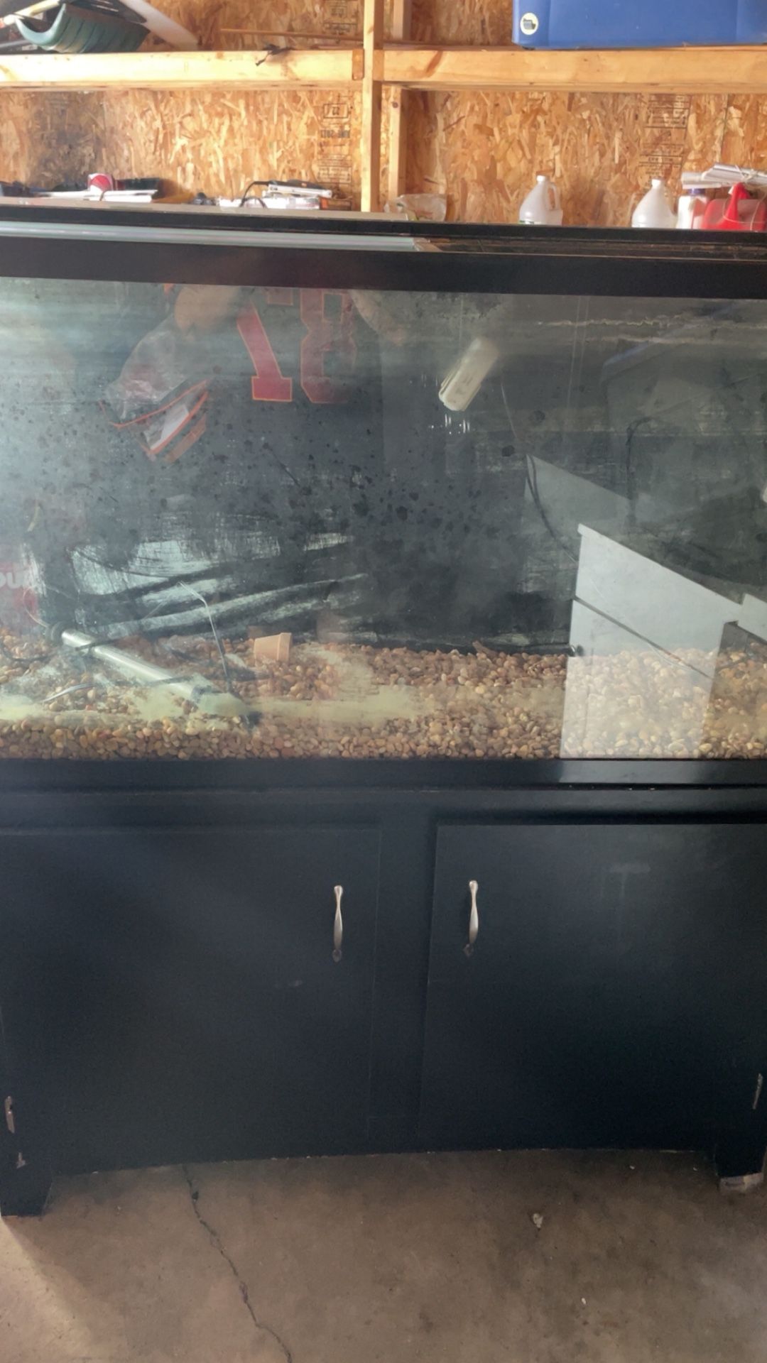 55 Gallon Fish tank And Stand
