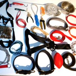 Assorted Dog Handling Equipment 