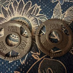 FlexWave 2" Olympic Cast Iron Weight Plates, 2.5LB 1.13KG Set, Rust-Proof Enamel Coating & Tri-Grip Handles, Home & Commercial Gym