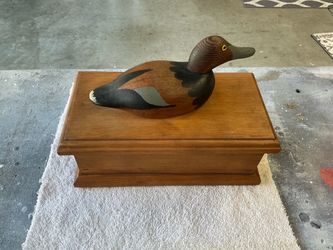 Duck storage box