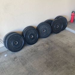 500lbs Rogue HG Bumper Set