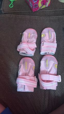XL dog shoes