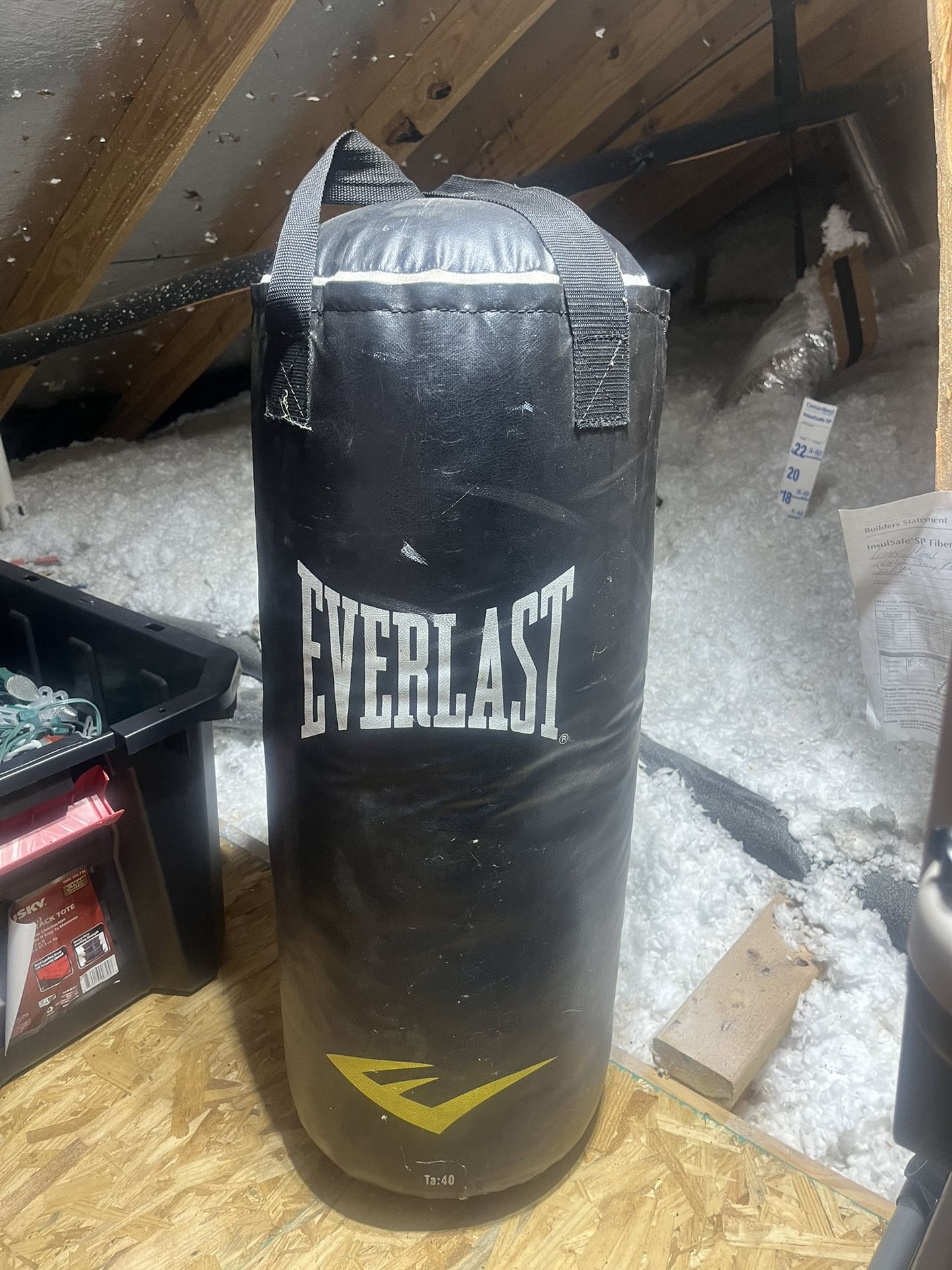 Punching Bag Kids