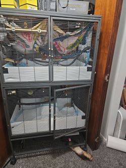 Moving - free ferret cage