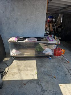 200 Gallon Acrylic Plexiglass Reptile Tank