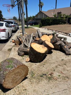 Free wood