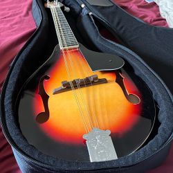 Mandolin w/ Soft Case (unbranded)