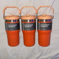 STANLEY Flip Straw Bottle 20oz 